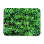 Magnet Flexible Casquette de cheveux Juniper Moss (Horizontal)