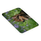 Magnet Flexible Casquette Poméranie (Côté Droit)