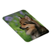 Magnet Flexible Casquette Poméranie (Côté Droit)