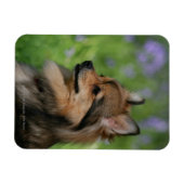 Magnet Flexible Casquette Poméranie (Horizontal)