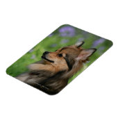 Magnet Flexible Casquette Poméranie (Côté Gauche)