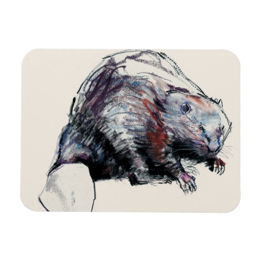 Magnet Flexible Castor Fibre 2001 (Horizontal)