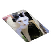 Magnet Flexible Cat (Côté Droit)
