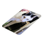 Magnet Flexible Cat (Côté Gauche)