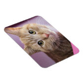 Magnet Flexible Cat (Côté Droit)