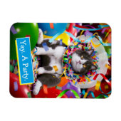 Magnet Flexible Cat dans le cône de partie (Horizontal)