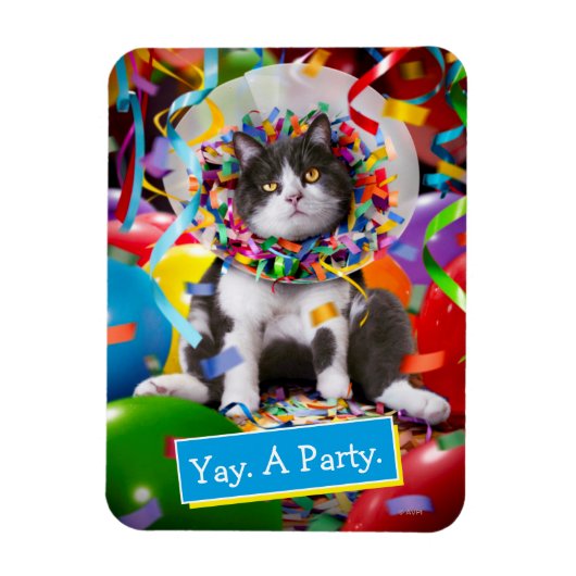 Magnet Flexible Cat dans le cône de partie (Vertical)