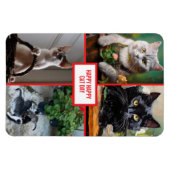 Magnet Flexible cat day  (Horizontal)