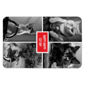 Magnet Flexible cat day black white red  (Horizontal)