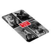 Magnet Flexible cat day black white red  (Côté Droit)