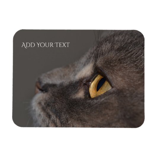 Magnet Flexible Cat Eye-Macro par Shirley Taylor (Horizontal)