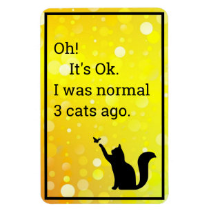 Magnet Flexible cat I was normal