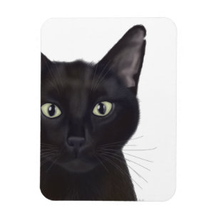 Magnet Flexible Cat, Portrait de Gus