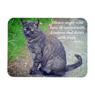 Magnet Flexible Cat posant II Citation Bouddhiste Motivationniste