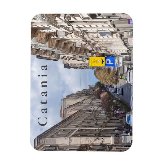 Magnet Flexible Catane. #14. (Vertical)