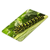 Magnet Flexible Caterpillar noire (Côté Gauche)