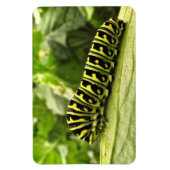 Magnet Flexible Caterpillar noire (Vertical)
