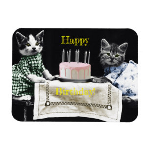 Magnet Flexible Cats celebrating a birthday with cake and candles