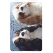 Magnet Flexible Cavalier King Charles Spaniel Aimant flexible (Vertical)