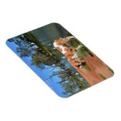 Magnet Flexible Cavalier Spaniel Et Pélicans, (Côté Droit)