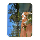 Magnet Flexible Cavalier Spaniel Et Pélicans, (Vertical)