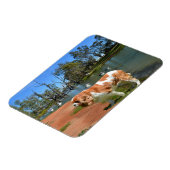 Magnet Flexible Cavalier Spaniel Et Pélicans, (Côté Gauche)