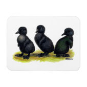 Magnet Flexible Cayuga noir (Horizontal)