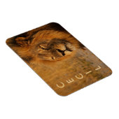Magnet Flexible Cecil le lion d'Afrique (Côté Droit)