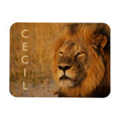Magnet Flexible Cecil le lion d'Afrique (Horizontal)