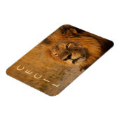 Magnet Flexible Cecil le lion d'Afrique (Côté Gauche)
