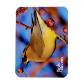 Magnet Flexible Cèdre (Vertical)