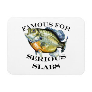 Magnet Flexible Célèbre Pour La Lumière Sérieuse Des Marques