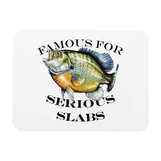 Magnet Flexible Célèbre Pour La Lumière Sérieuse Des Marques (Horizontal)