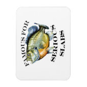 Magnet Flexible Célèbre Pour La Lumière Sérieuse Des Marques (Vertical)