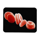 Magnet Flexible Cellules de sang rouges (Horizontal)