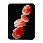 Magnet Flexible Cellules de sang rouges (Vertical)