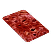 Magnet Flexible Cellules de Sclerenchyma d'un cerisier (Côté Droit)