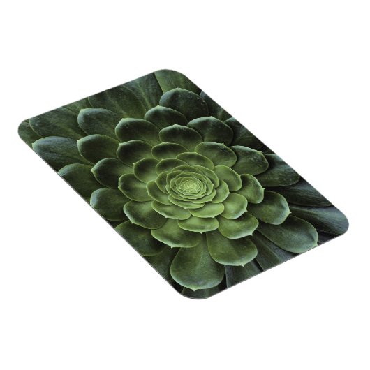 Magnet Flexible Centre de Cactus (Côté Droit)