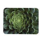 Magnet Flexible Centre de Cactus (Horizontal)