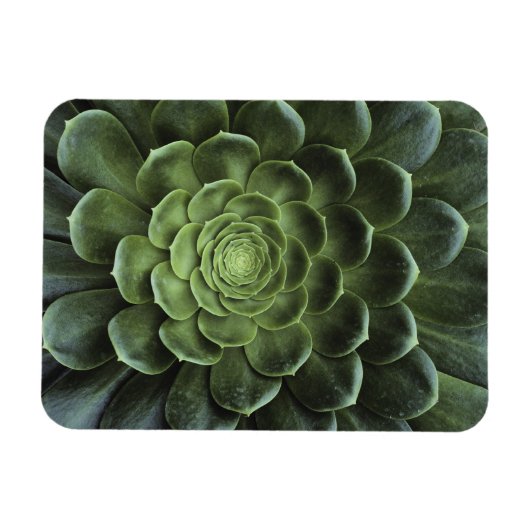 Magnet Flexible Centre de Cactus (Horizontal)