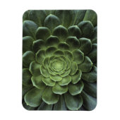 Magnet Flexible Centre de Cactus (Vertical)