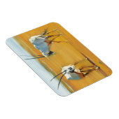 Magnet Flexible Cercler Arabian Oryx 2010 (Côté Droit)