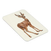 Magnet Flexible Cerf (Côté Droit)