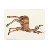 Magnet Flexible Cerf (Horizontal)