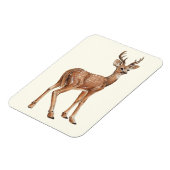 Magnet Flexible Cerf (Côté Gauche)