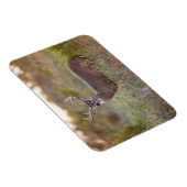 Magnet Flexible Cerf à queue blanche | Automne au Texas (Côté Droit)