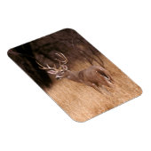 Magnet Flexible Cerf à queue blanche | Choke Canyon State Park, TX (Côté Droit)