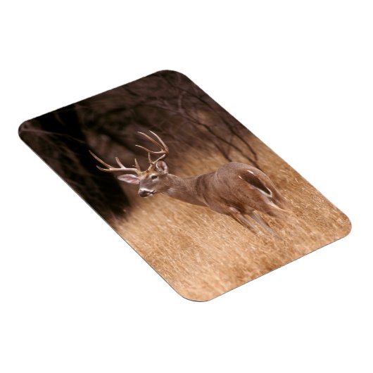 Magnet Flexible Cerf à queue blanche | Choke Canyon State Park, TX (Côté Droit)