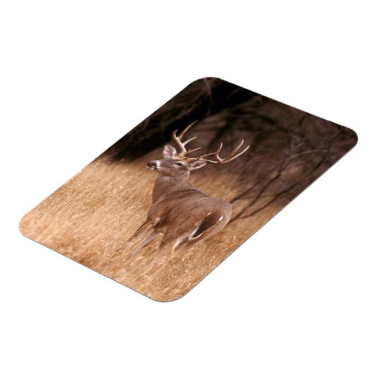 Magnet Flexible Cerf à queue blanche | Choke Canyon State Park, TX (Côté Gauche)