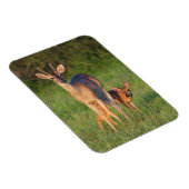 Magnet Flexible Cerf à queue blanche | Habitat Grassy (Côté Droit)